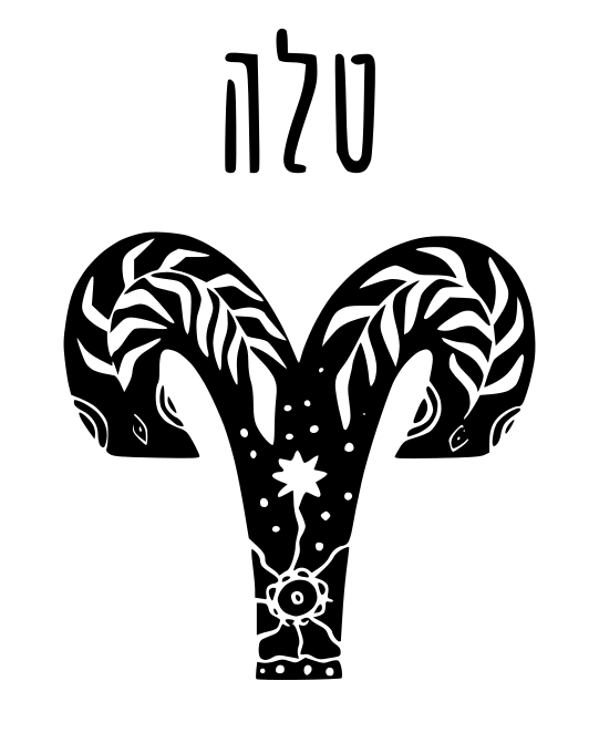 טלה
