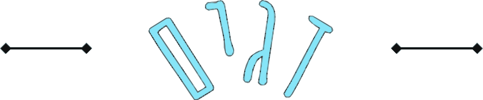 דגים