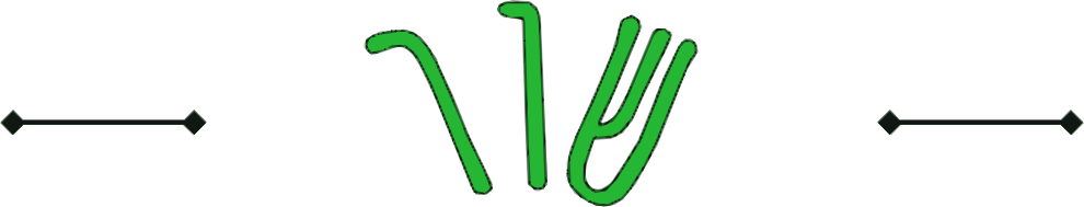 שור
